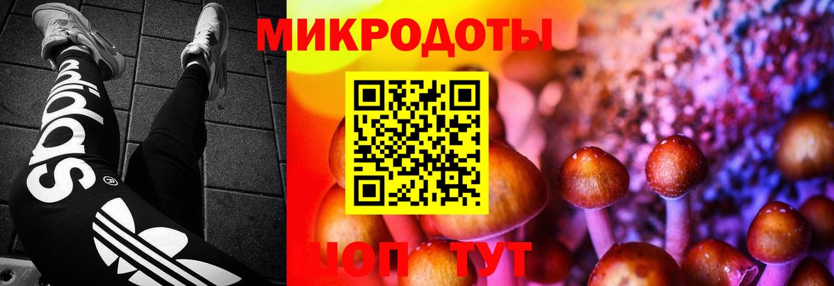 Псилоцибиновые грибы Magic Shrooms Скопин