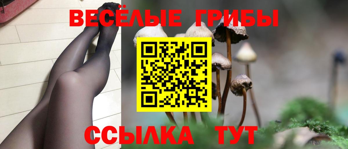 Псилоцибиновые грибы GOLDEN TEACHER  Галлюциногенные грибы MAGIC MUSHROOMS  Скопин  Вход с VPN 